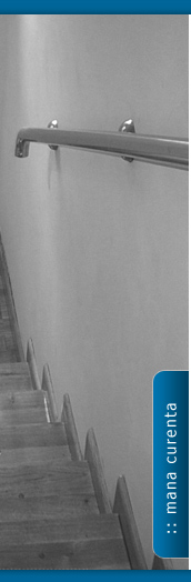 mana curenta vicinox